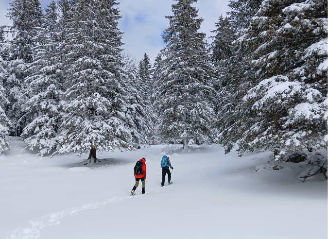 Raquettes à neige : les randos, les stages de progression et les événements 2026 à ne pas louper ! 